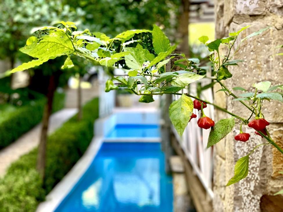 Neda Hotel Ancient Olympia Екстер'єр фото