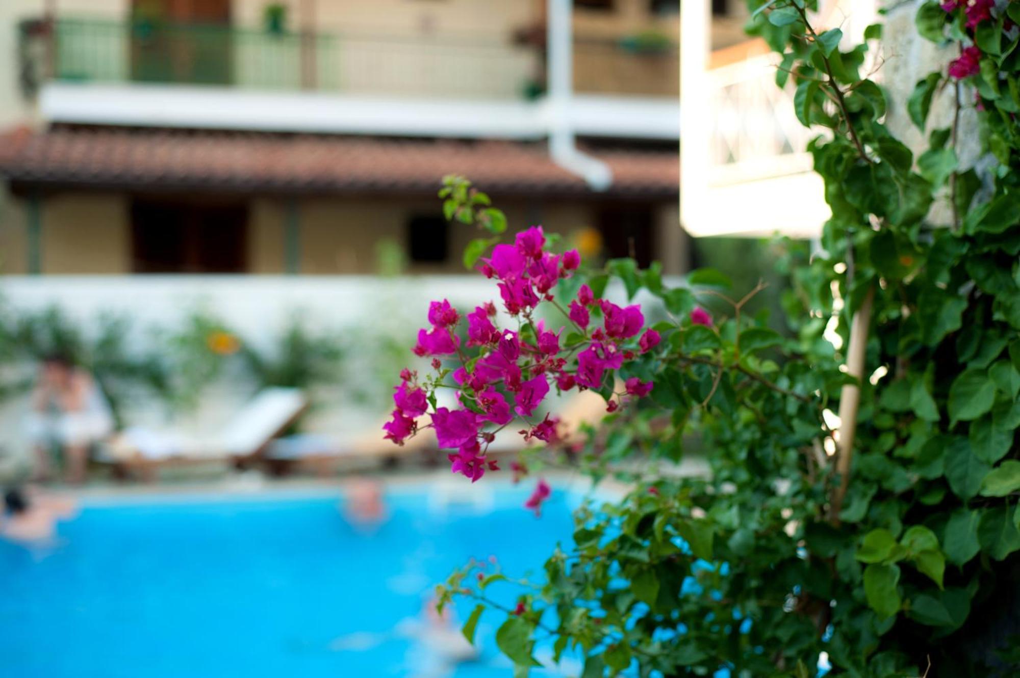 Neda Hotel Ancient Olympia Екстер'єр фото